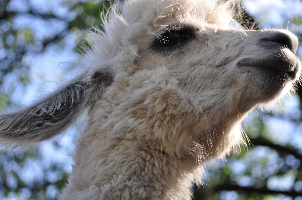 天亚娱乐，注册|代理注册材料公司