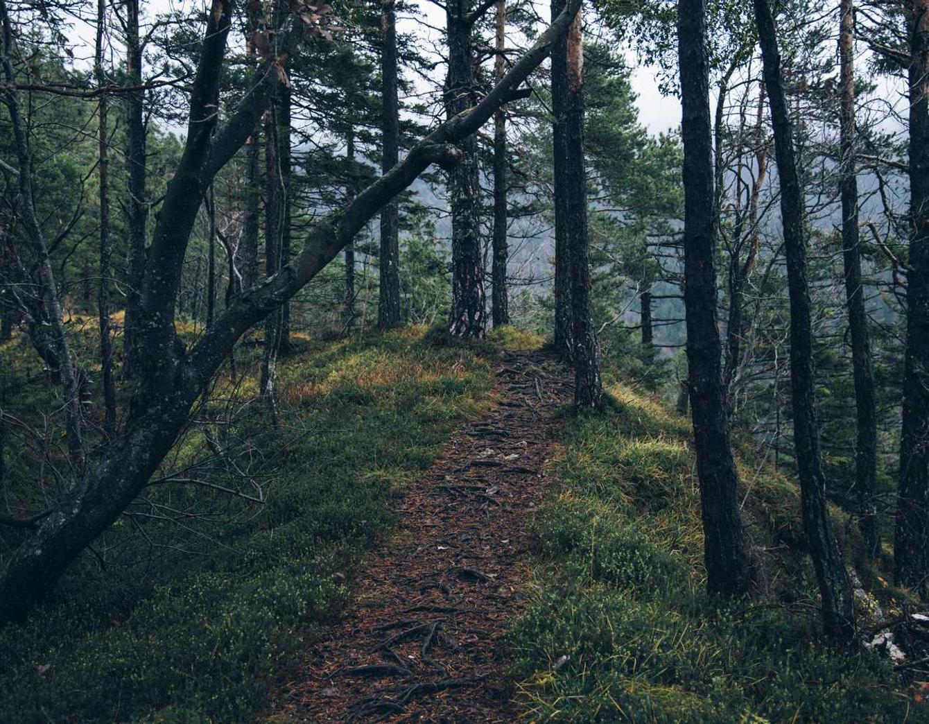 实名手机卡出售:果匀app详情下载教程