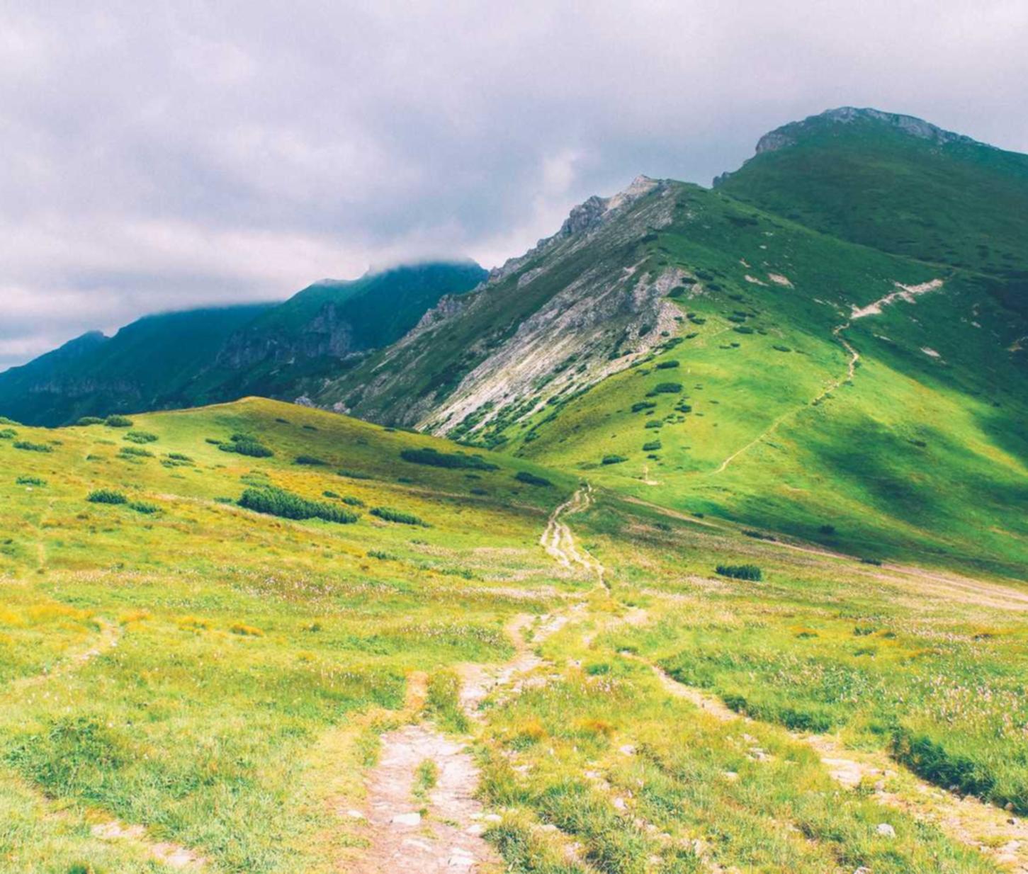 园区注册公司代理公司