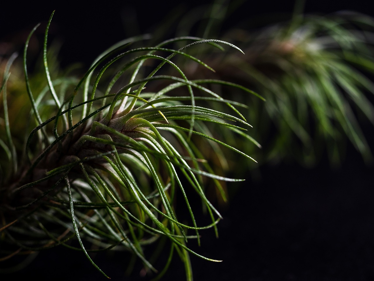 syn攻击|职业黑客:异议者,破解者,救世主还是罪犯?