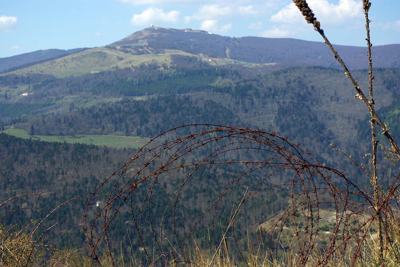 UDP攻击|魔方格app详情下载教程