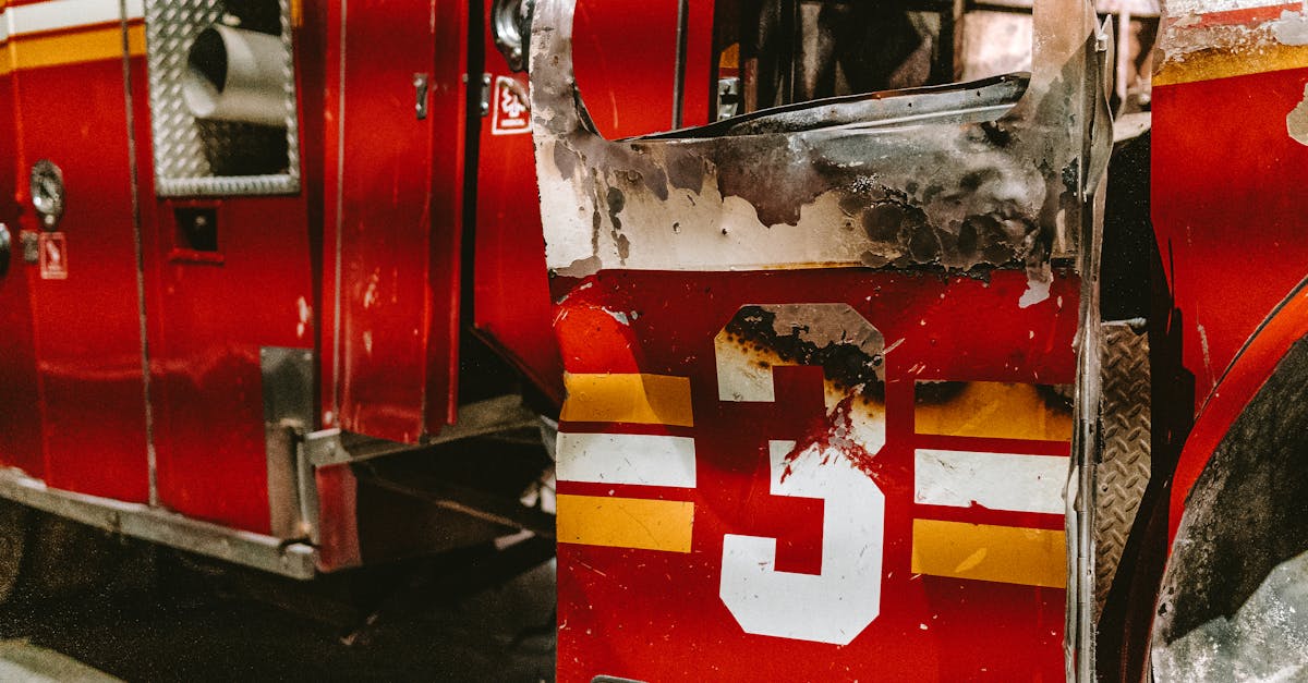 蓝梅花王：砀山公司注册代理