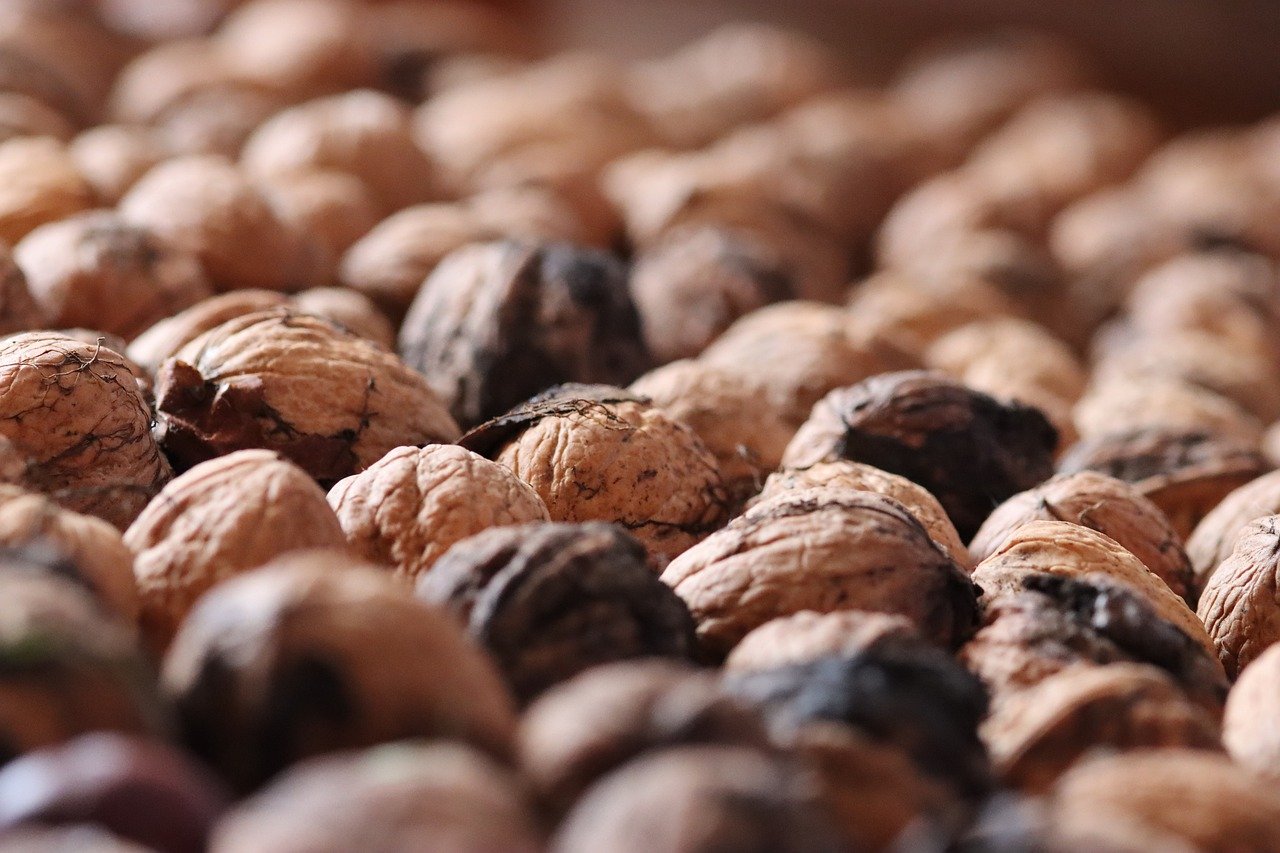 精灵盛典：新车注册登记业务代理