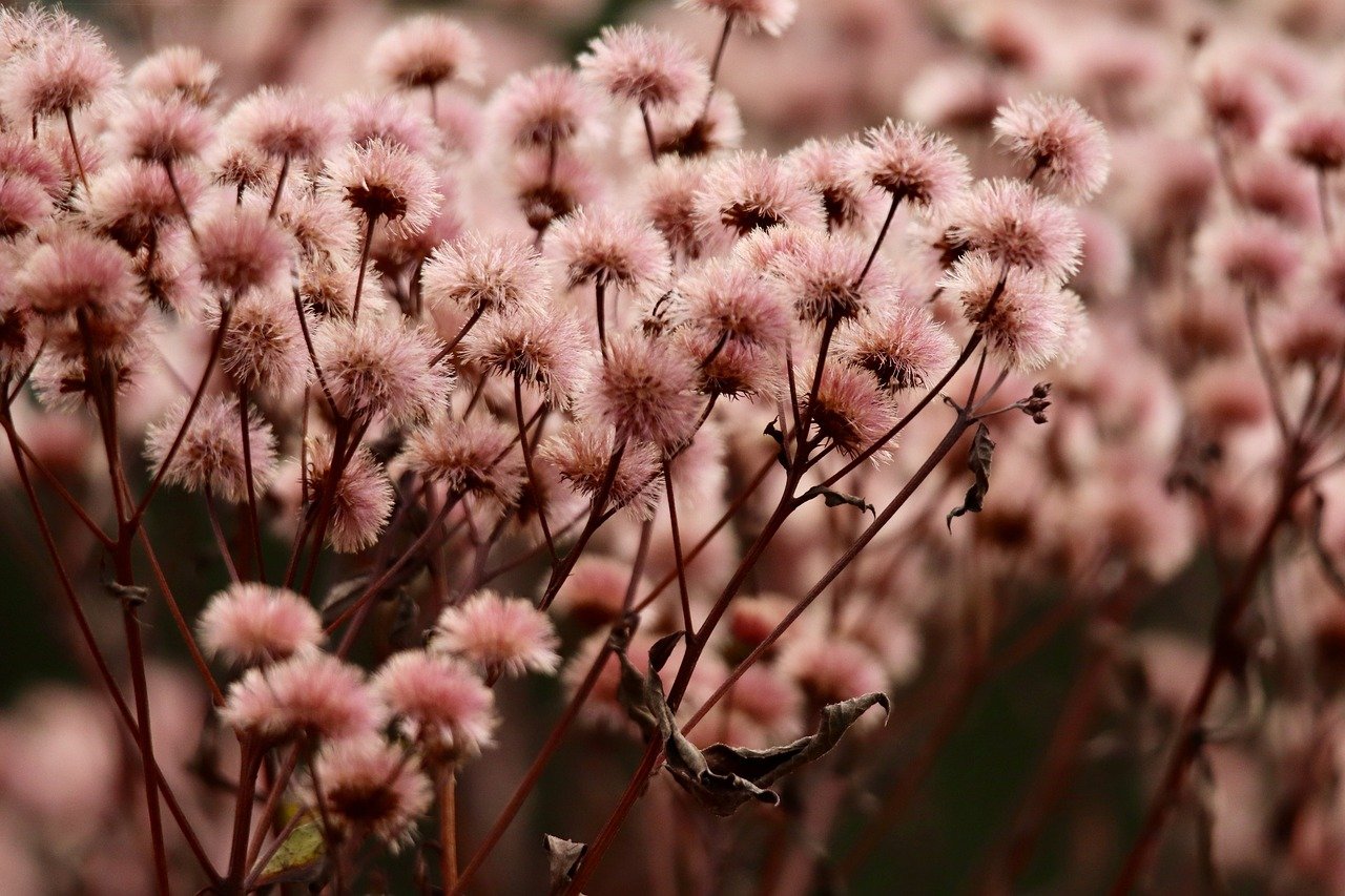 金榜笔记app详情下载教程