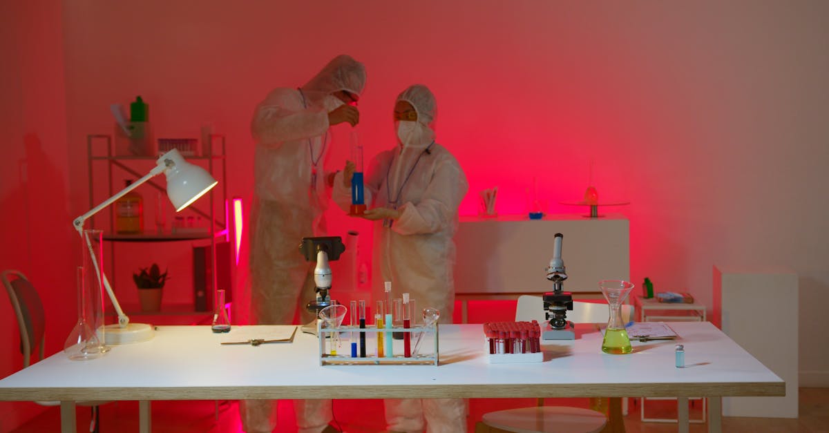 猫之城：外卖盒购买平台