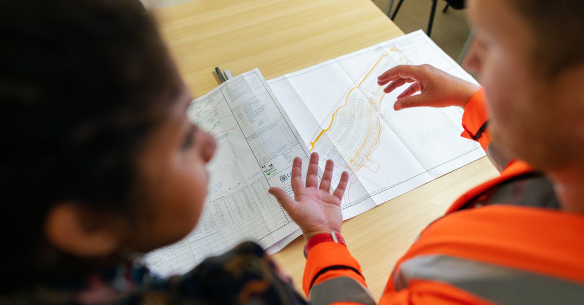 湘西猫咪购买平台