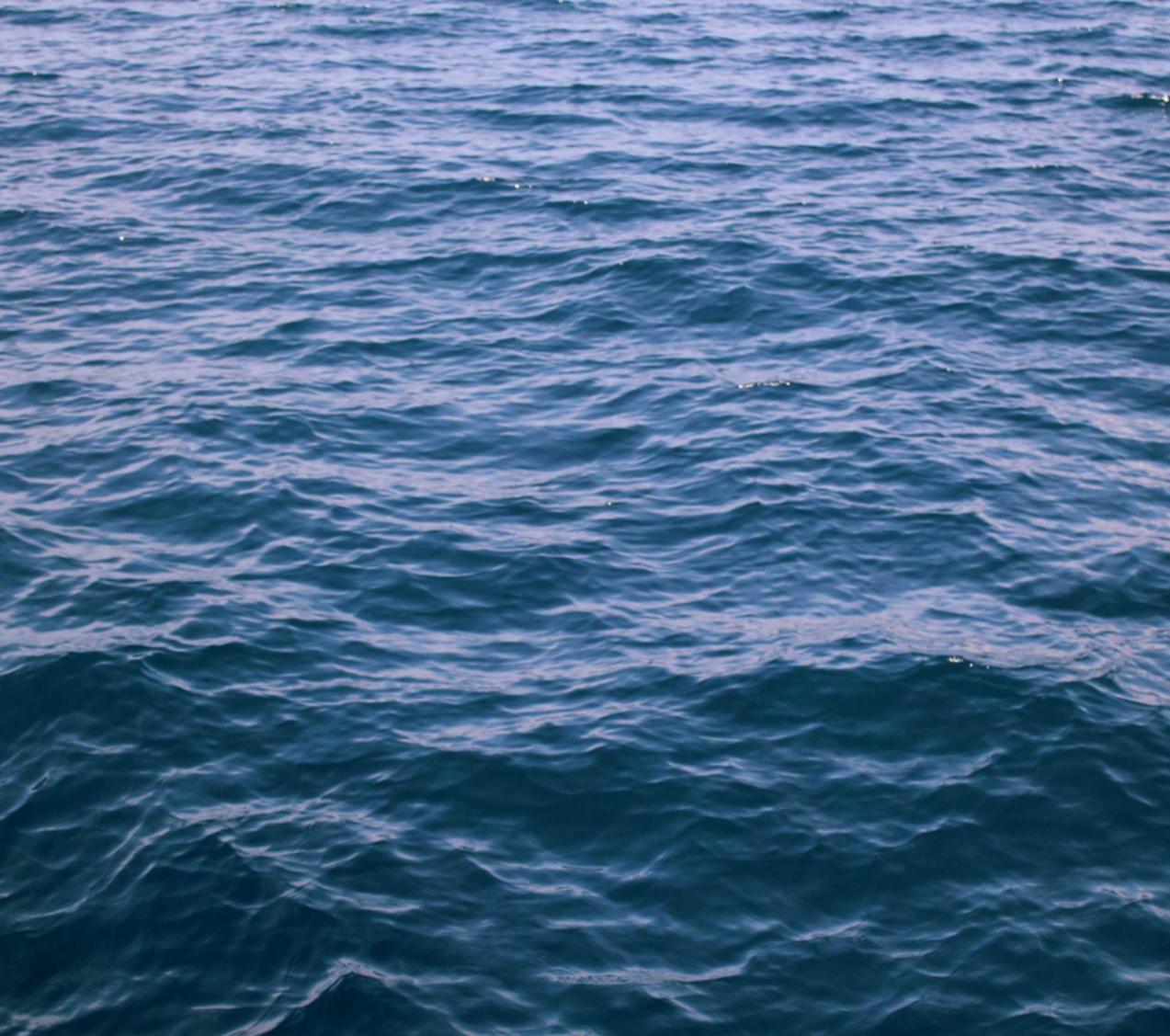 分发实名账号：塘沽代理公司注册