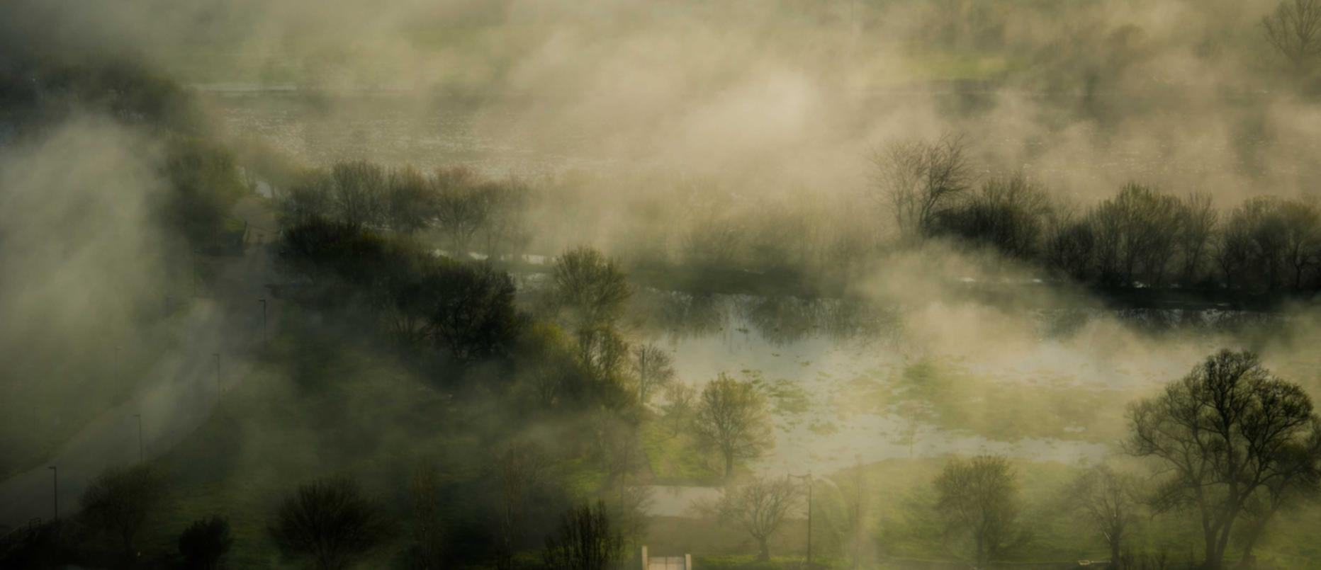 泡泡实名账号：浙江红木办公家具购买平台