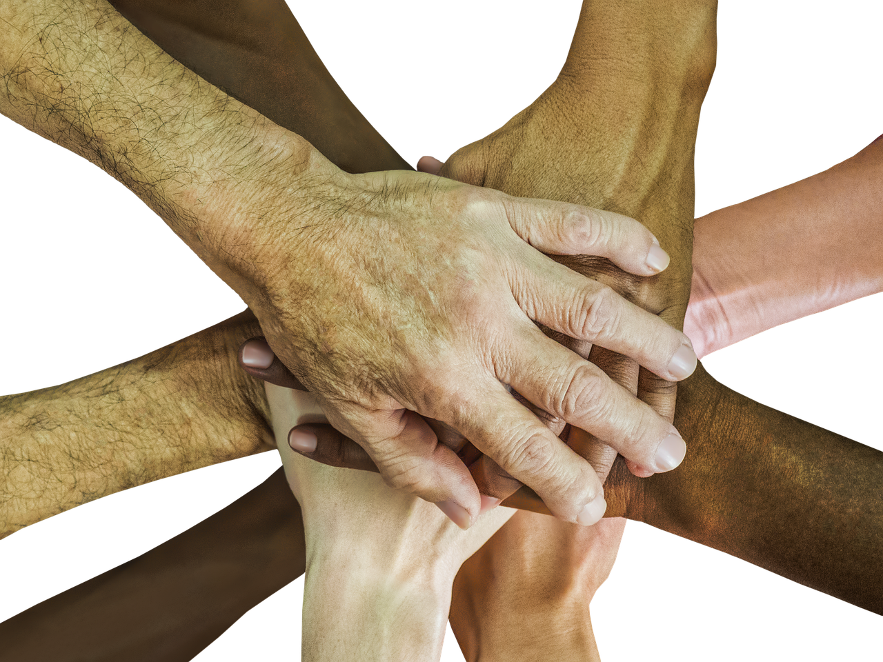 太极熊猫3:猎龙辅助- 龙湾职业工商代理平台