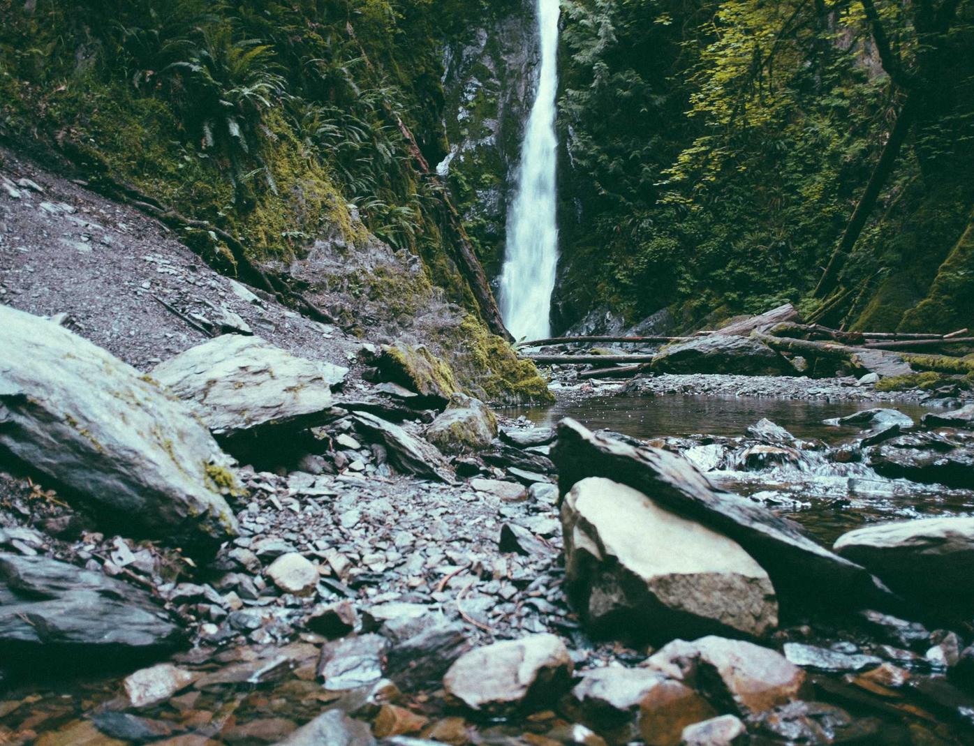 提速啦实名账号：临泉货架代理平台