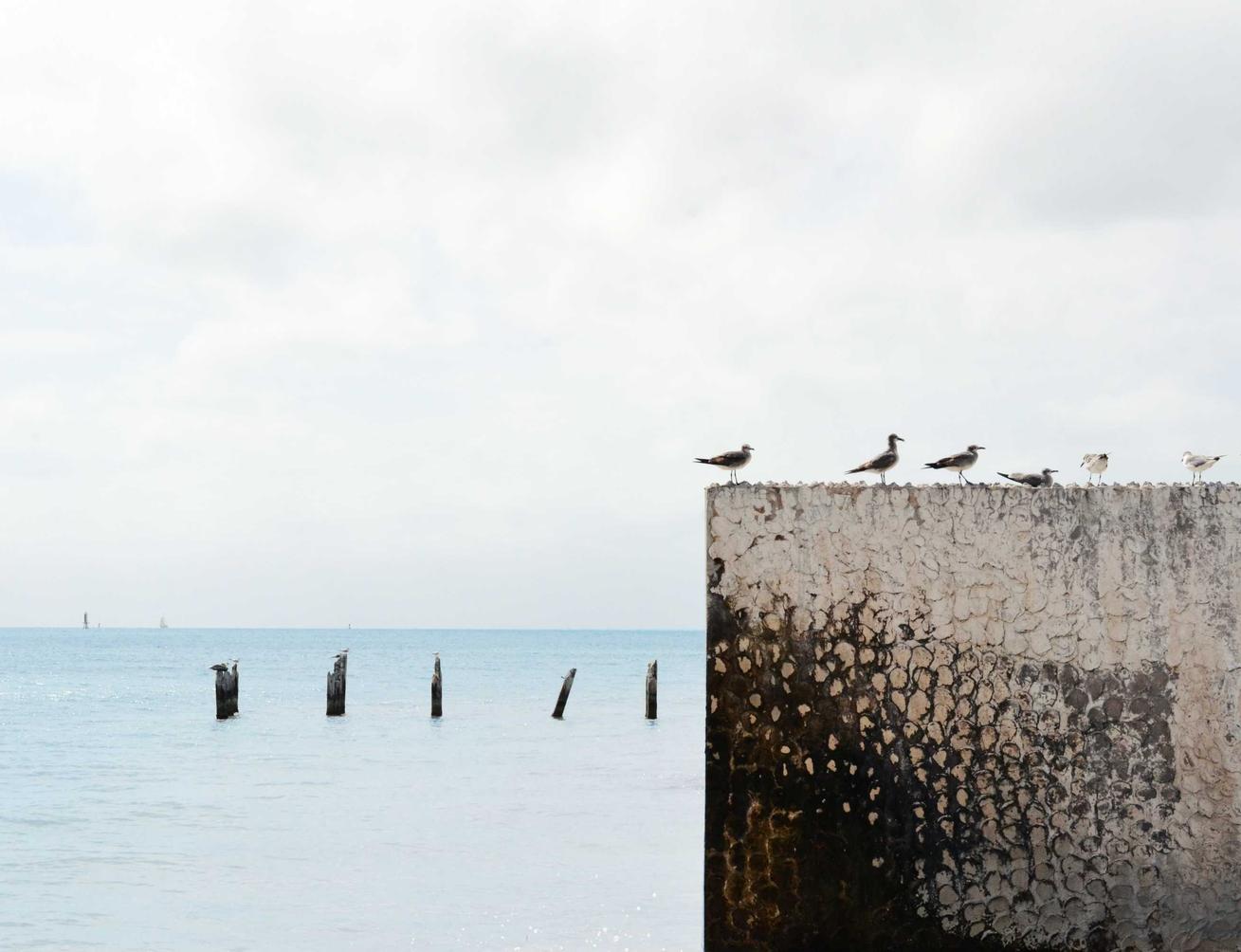 解读DDOS每小时攻击- 龙港市注册代理记账地址